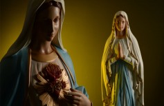 sacred mary's heart