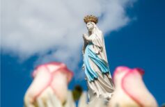 Feast of Our Lady of the Rosary